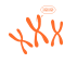 Recombinant Antibody Expression