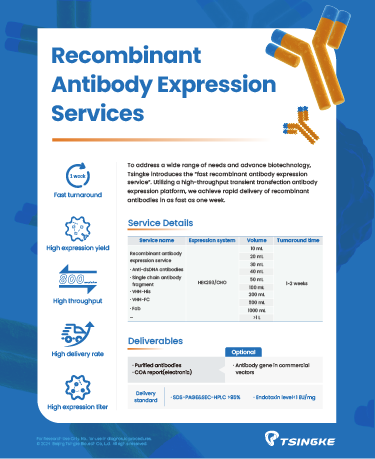 Tsingke Recombinant Antibody Flyer