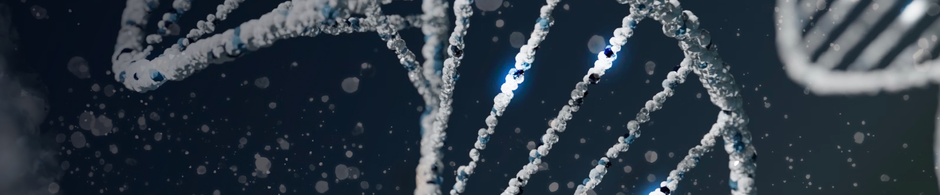 ssDNA synthesis