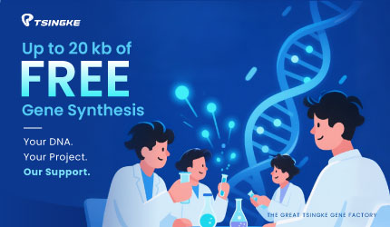 Empowering Young Scientists with Real-World DNA Synthesis Support