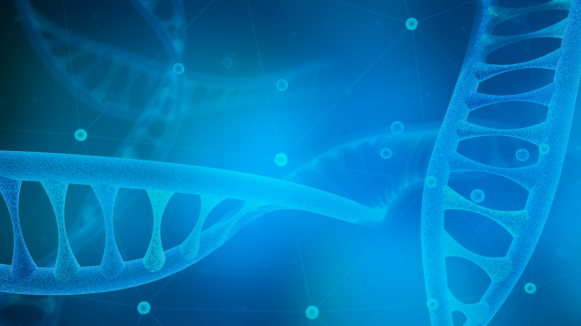 What Are Gene Fragments?