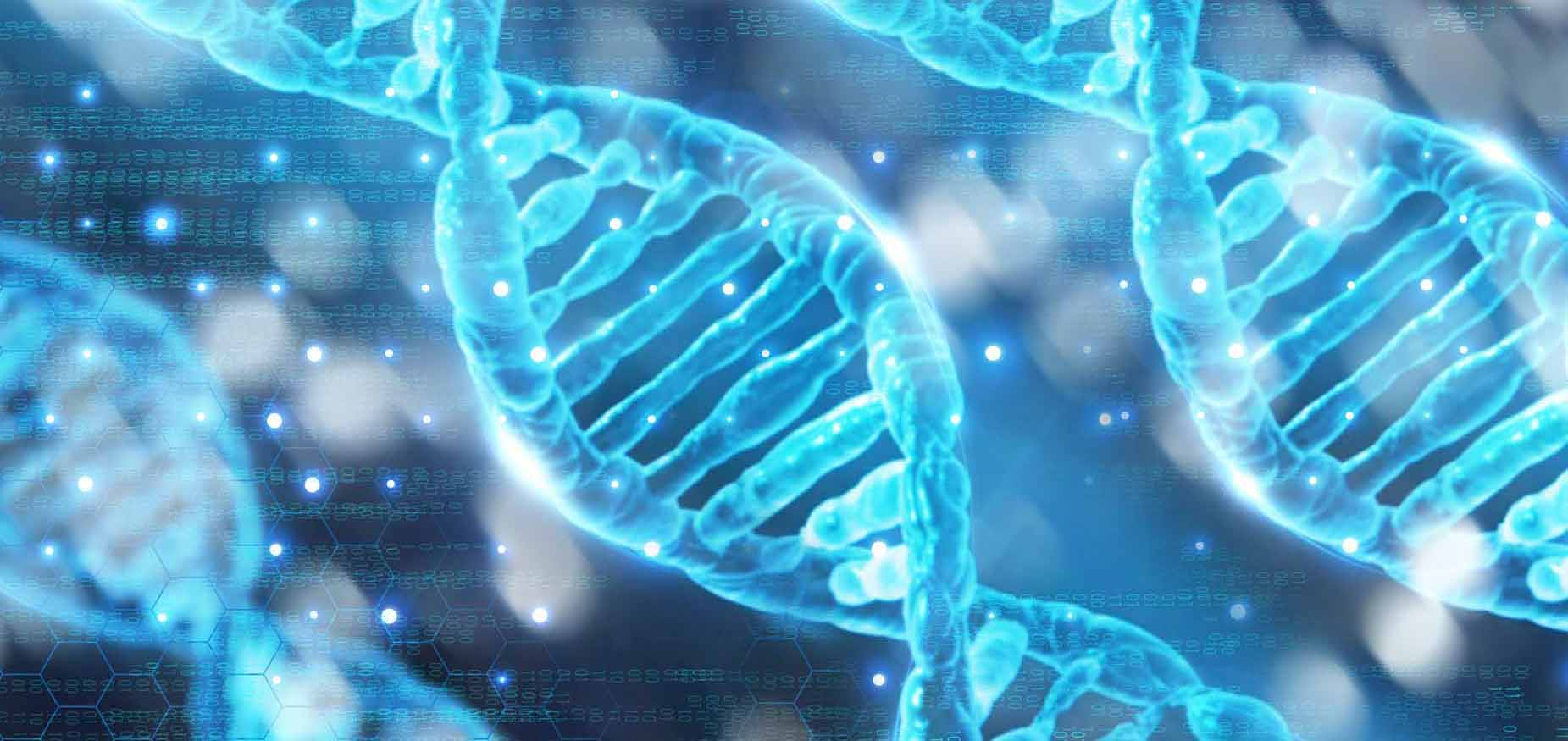Synthetic Gene Synthesis for Protein Expression Systems Synthetic Gene Synthesis for Protein Expression Systems