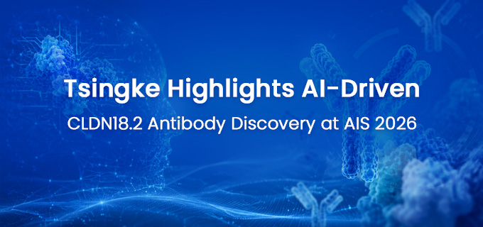 Tsingke Highlights AI-Driven CLDN18.2 Antibody Discovery at AIS 2026