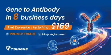 Gene to Antibody in 8 business days