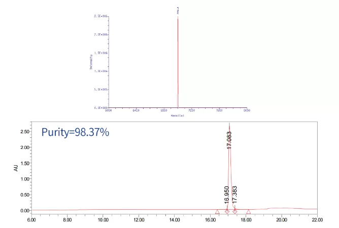 2’-MOE and PS Modifications