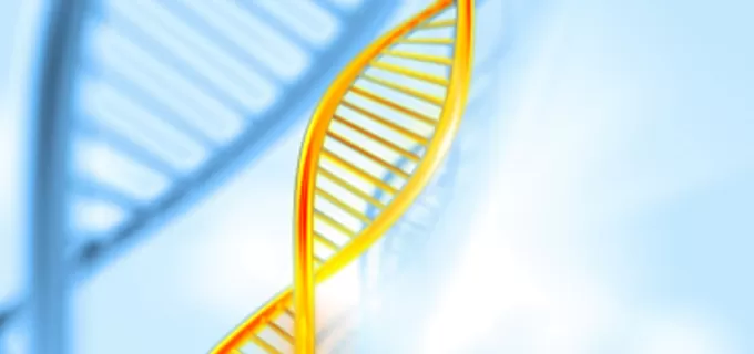 Gene Synthesis: A Booster for the Development of Biological Breeding