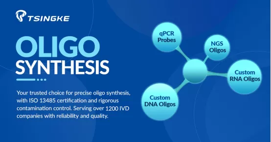 2024 Tsingke High-Impact Literature Compilation - Oligo Synthesis