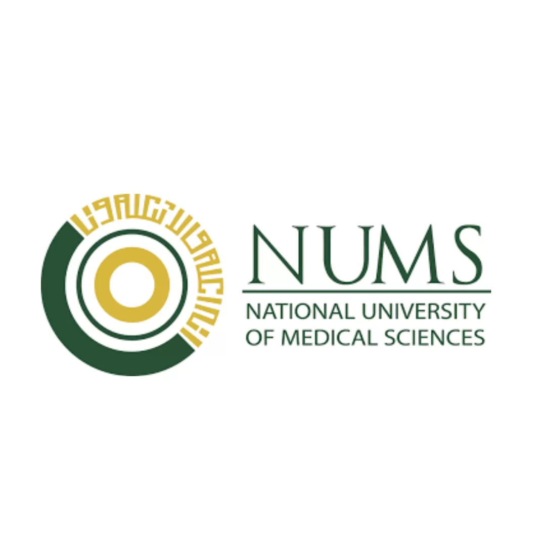 Researchers of Tsingke DNA and RNA Synthesis