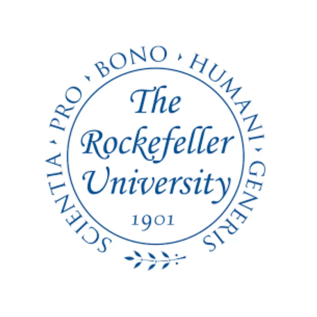 Researchers of Tsingke DNA and RNA Synthesis