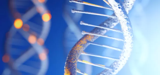 Is Codon Optimization Important in Protein Expression?