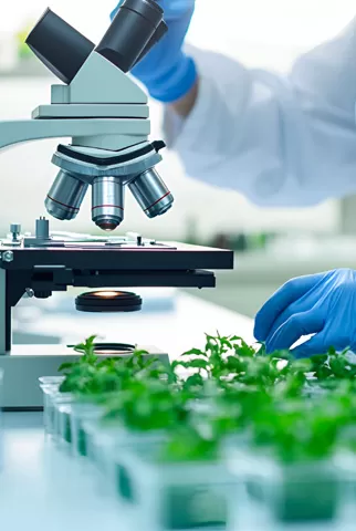 Agricultural Biotech