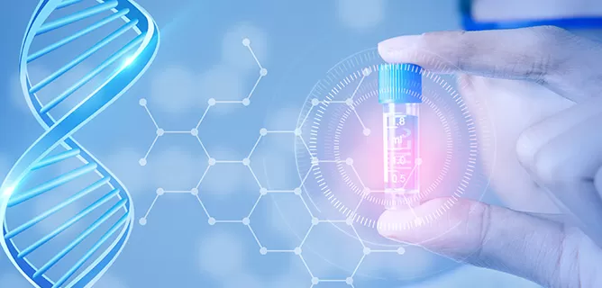 High-Throughput Services