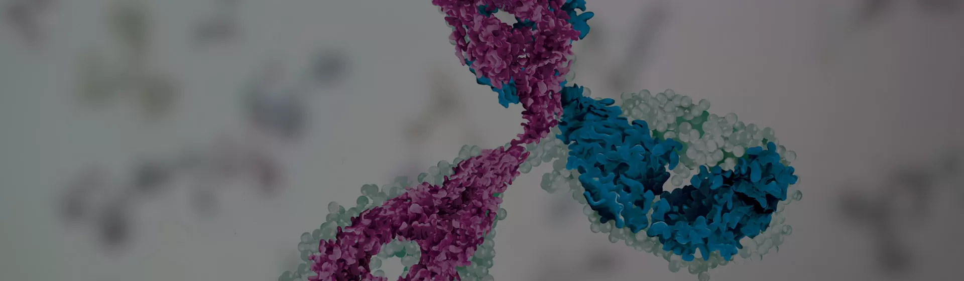 Expression & Screening