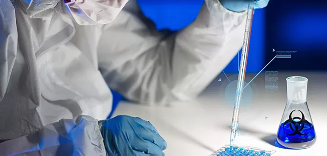 Antibody Generation Services