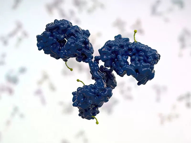 Expression & Screening