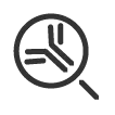 Antibody Screening Service