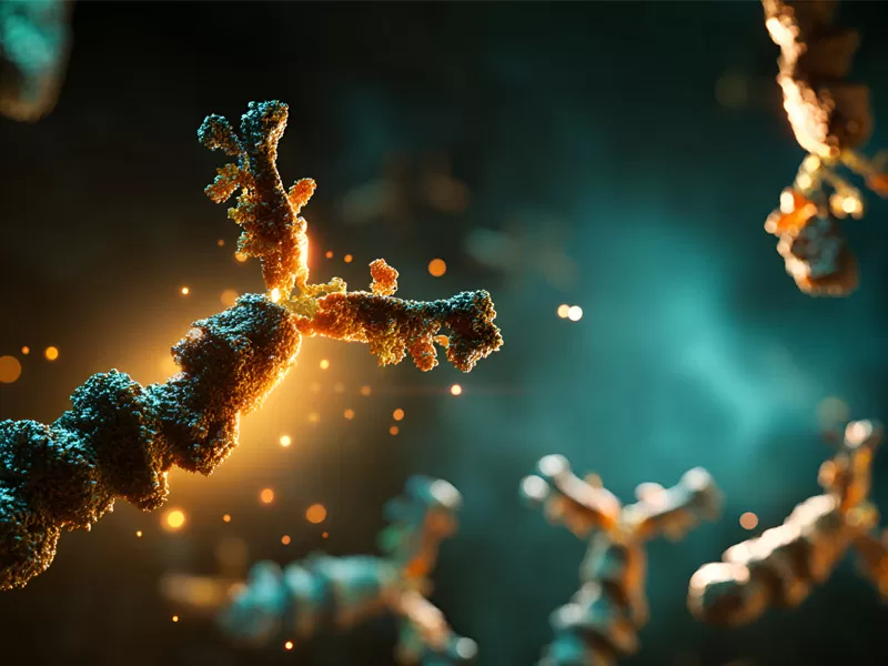 Target Identification & Validation