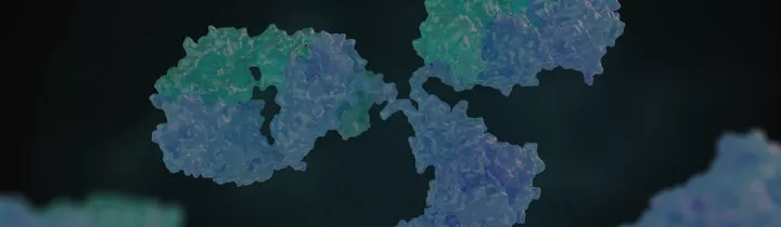 Antibody Drug Discovery