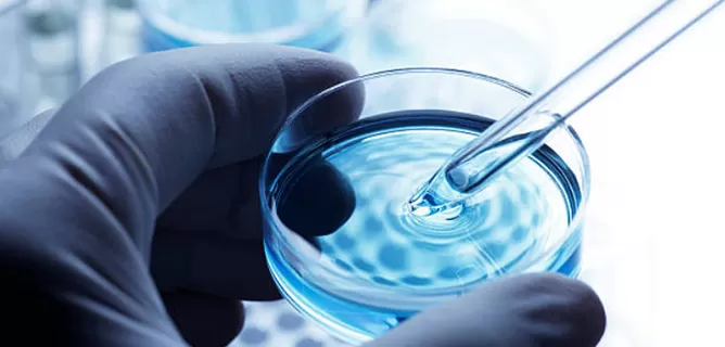 Cas9 Expression Plasmids