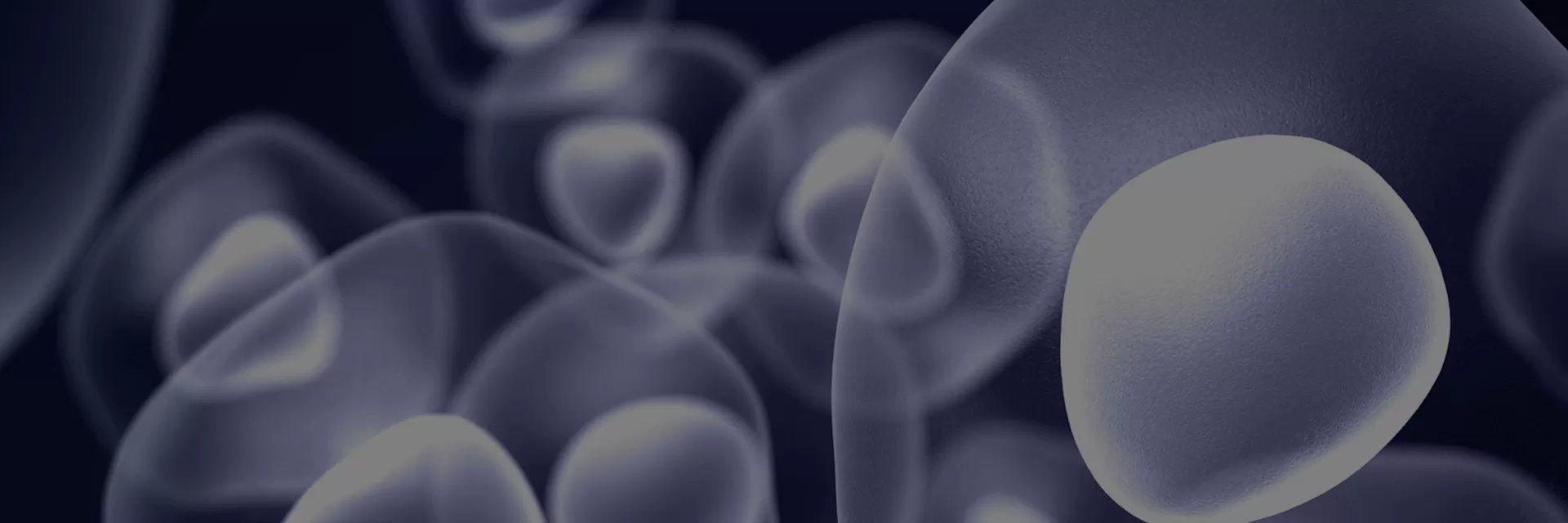 Cell Line Construction