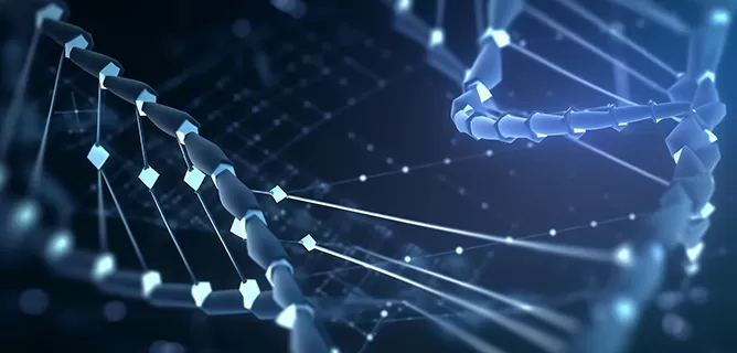 Trait Stacking Services