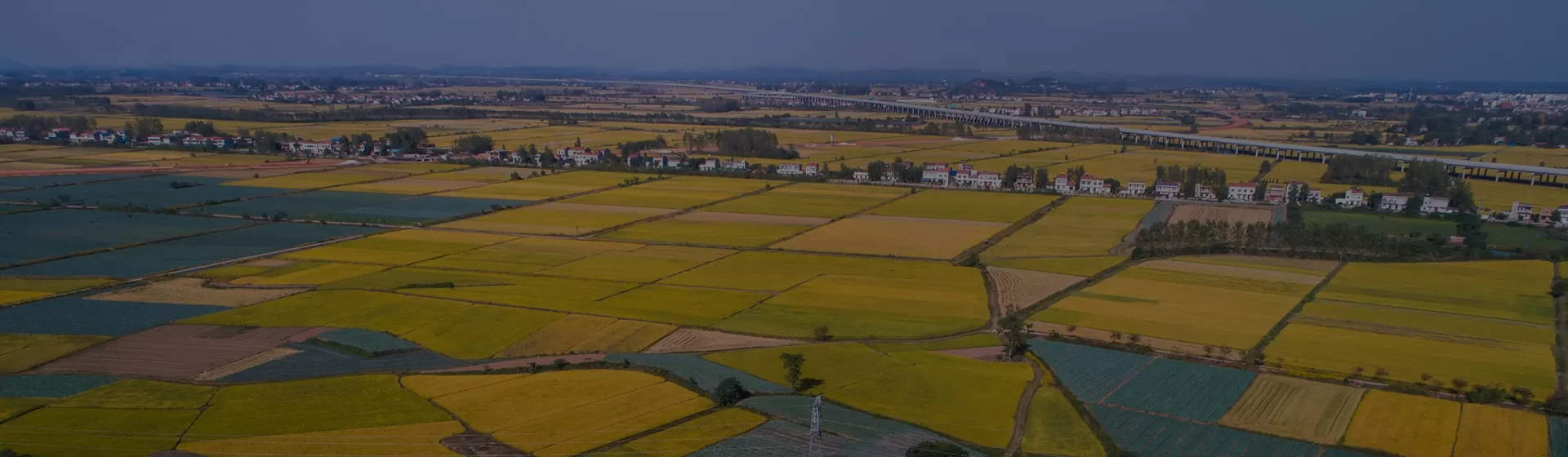 Crop Genomics & Trait Improvement