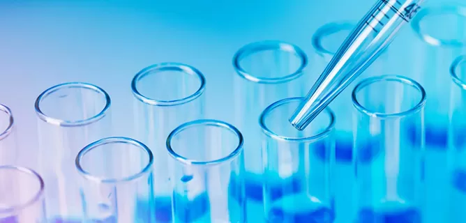 Custom Modifications