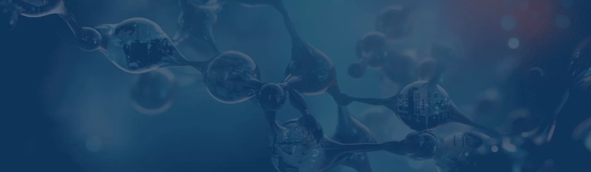 Core Capabilities of Tsingke Gene Factory