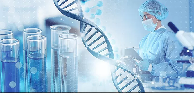 dsDNA Donor Fragments