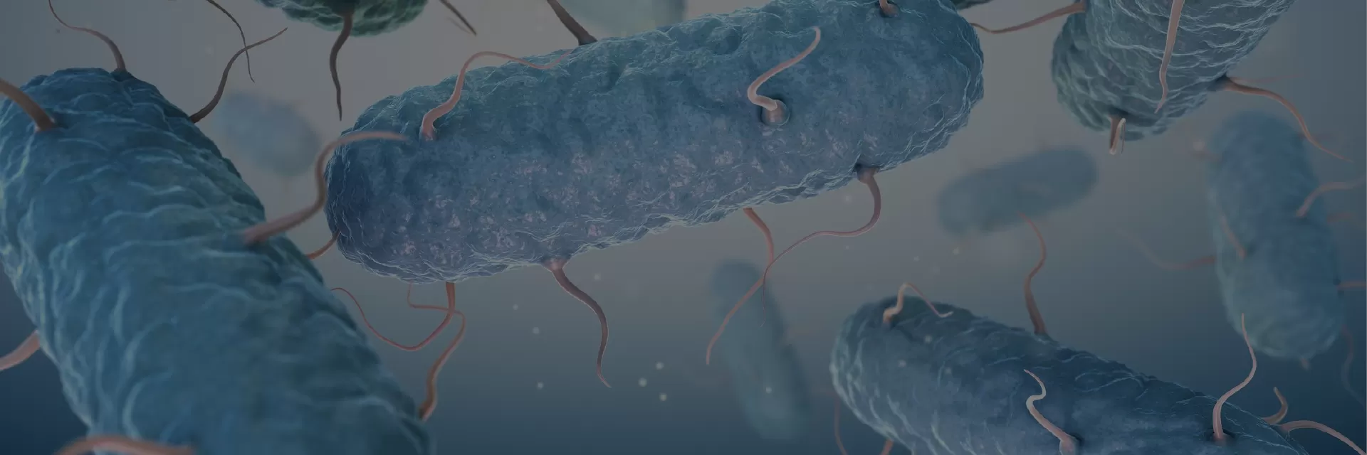 Recombinant Protein Expression