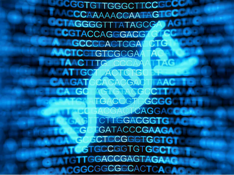 How Are Gene Cloning and Protein Synthesis Related?