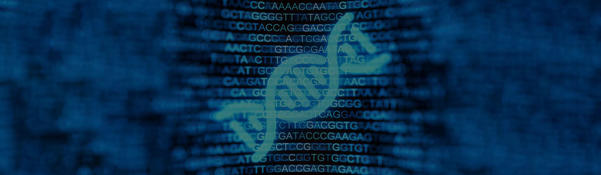 Editing Validation Tools