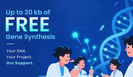 Empowering Young Scientists with Real-World DNA Synthesis Support