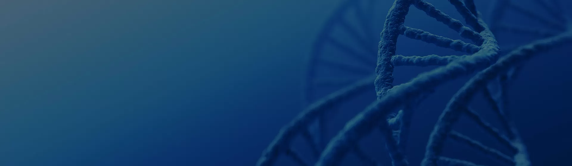 Exploring Tsingke' Event News