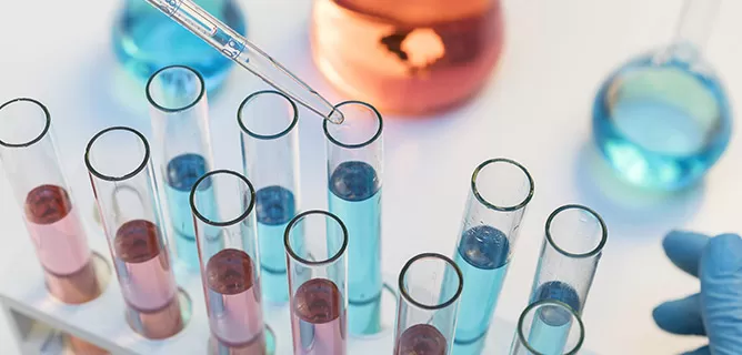 Expression-Ready Plasmids