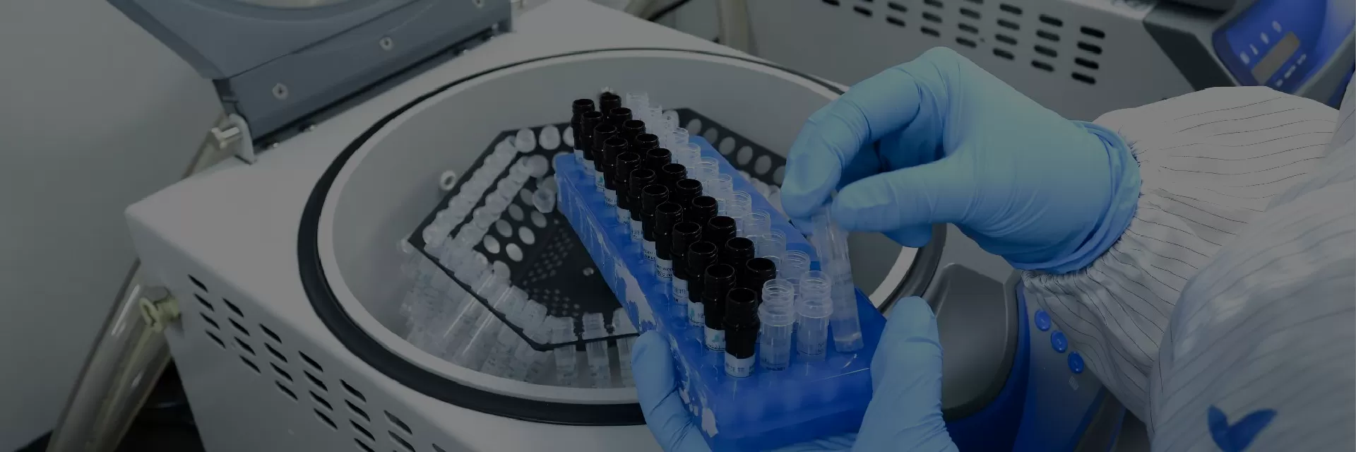 Fluorophores & Quenchers