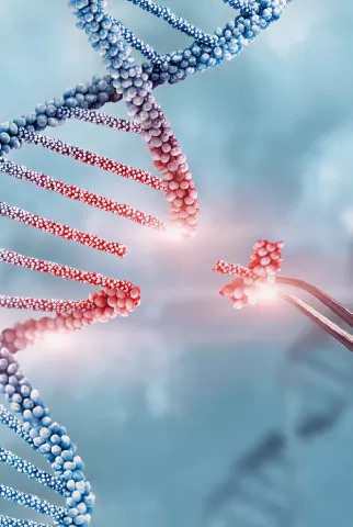 Gene Editing