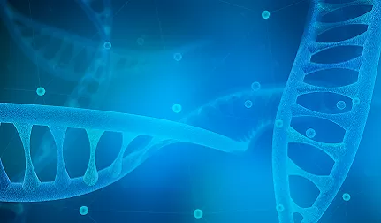 What Are Gene Fragments?