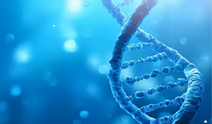 What Is Gene Library Construction?