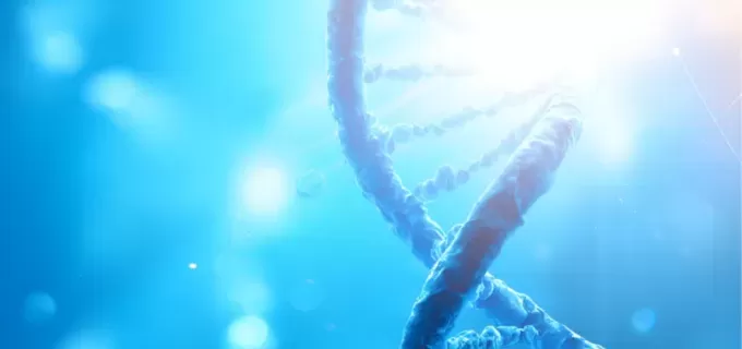 What Is Gene Library Construction?