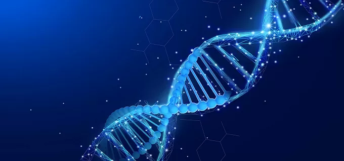 How Do Gene Mutations Affect Protein Synthesis?