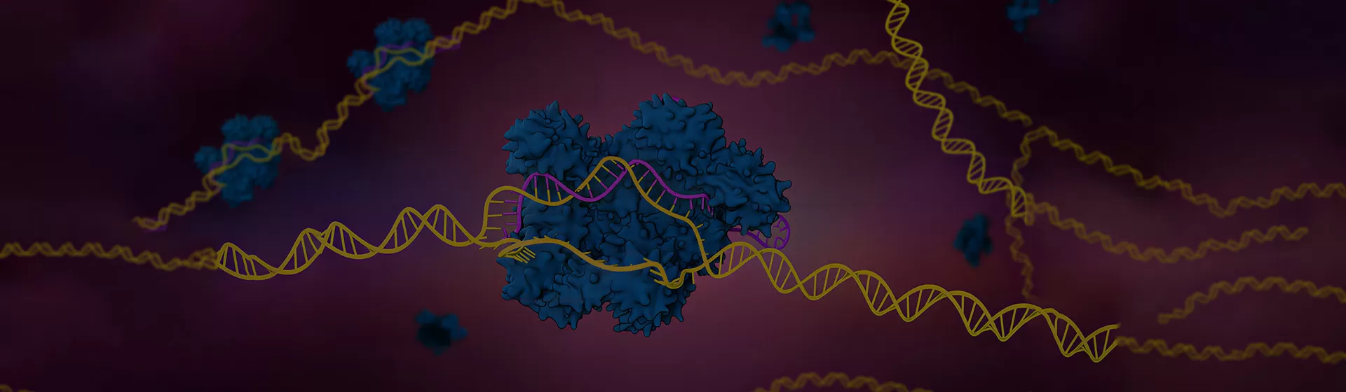 CRISPR gRNA Synthesis