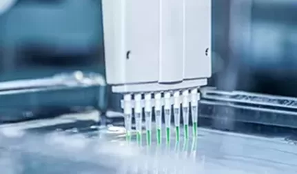 High-Accuracy Gene Synthesis: Overcoming GC-rich Challenges