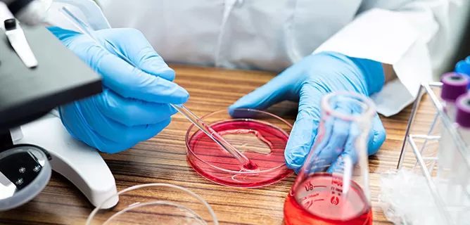 High-Throughput Cloning