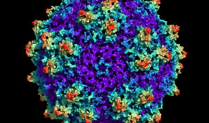 Highlights of AAV Packaging