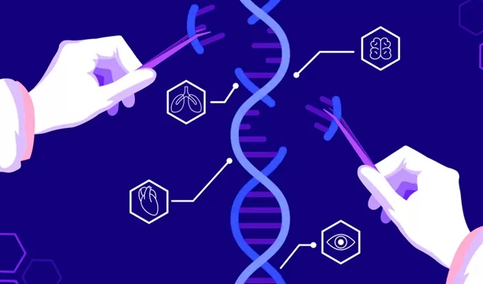 Highlights of Cell Line Construction