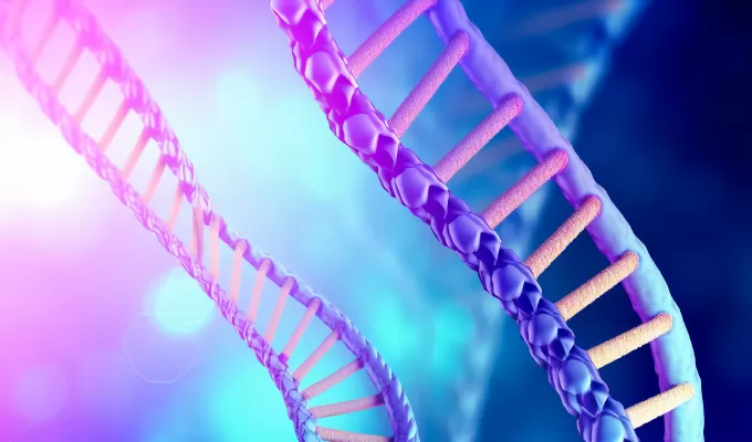 Highlights of Gene Fragments