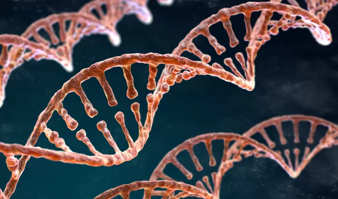 Highlights of Gene to Plasmid