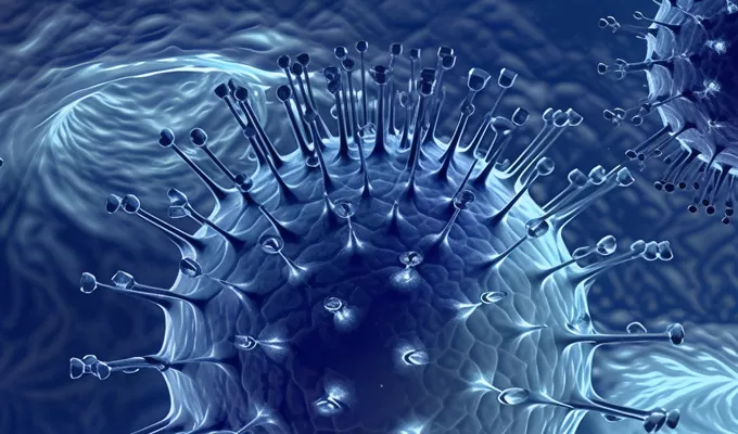 Highlights of LV Packaging