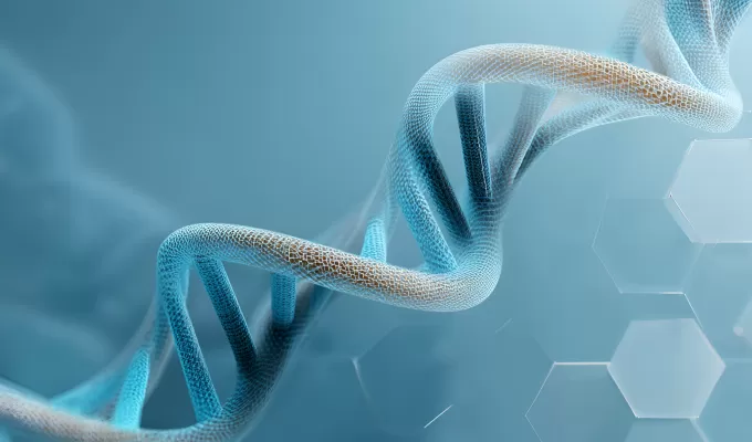 Highlights of Modifications